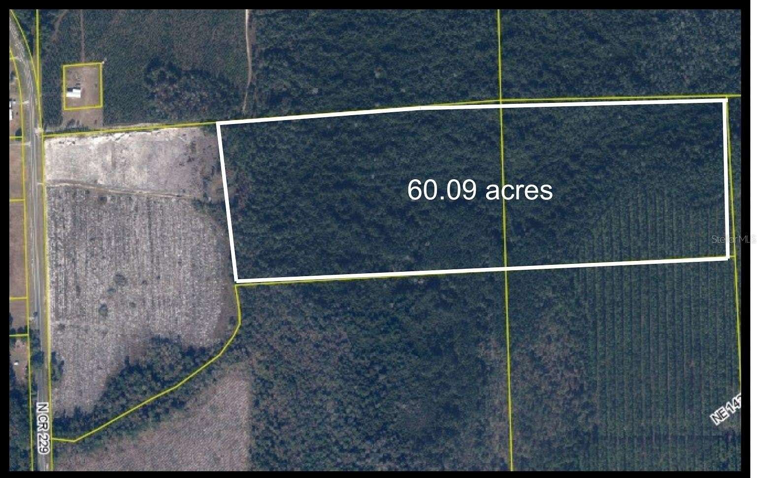 60 Acres of Recreational Land for Sale in Raiford, Florida