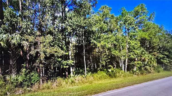 6.33 Acres of Land for Sale in Fort McCoy, Florida