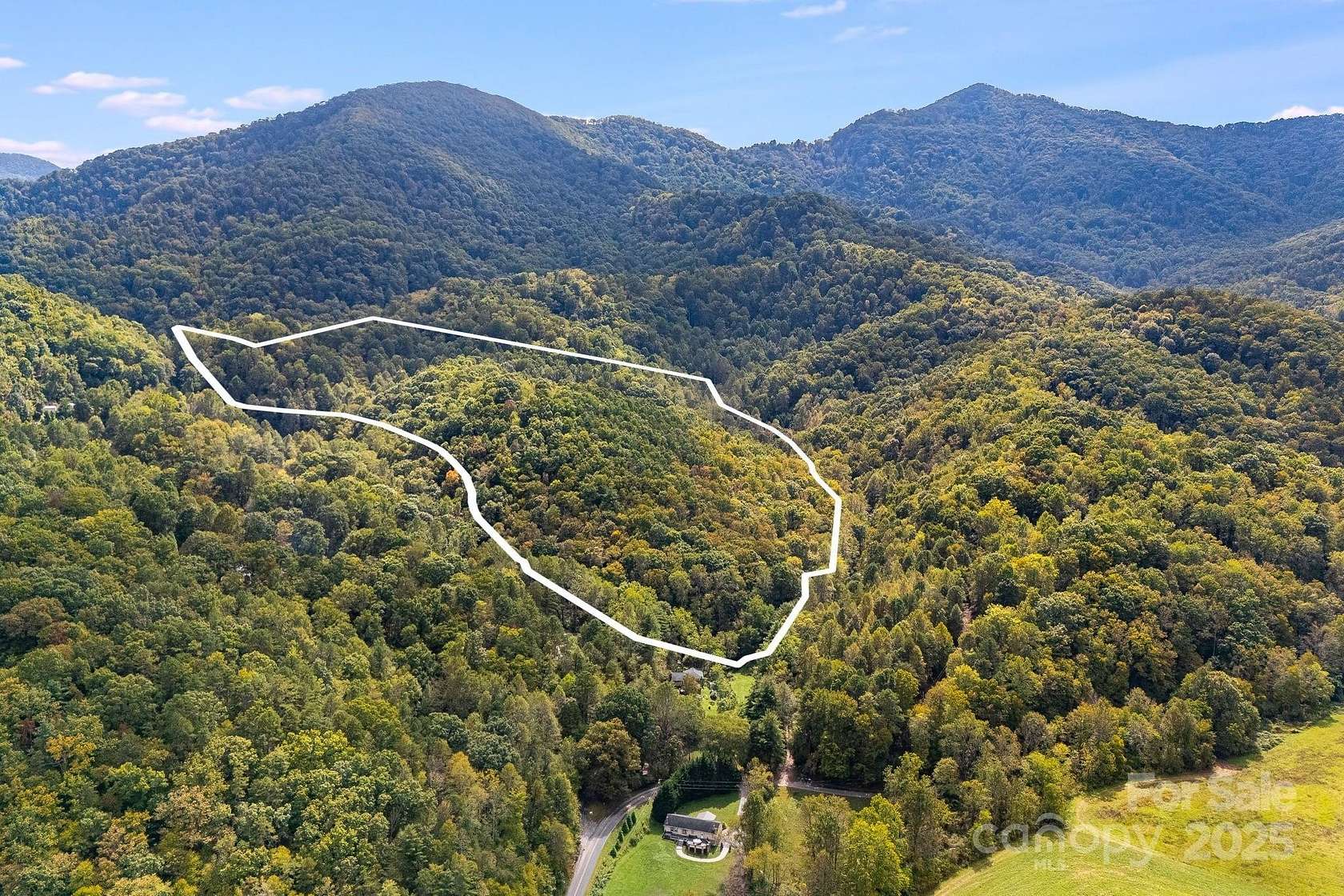 38.3 Acres of Recreational Land for Sale in Leicester, North Carolina