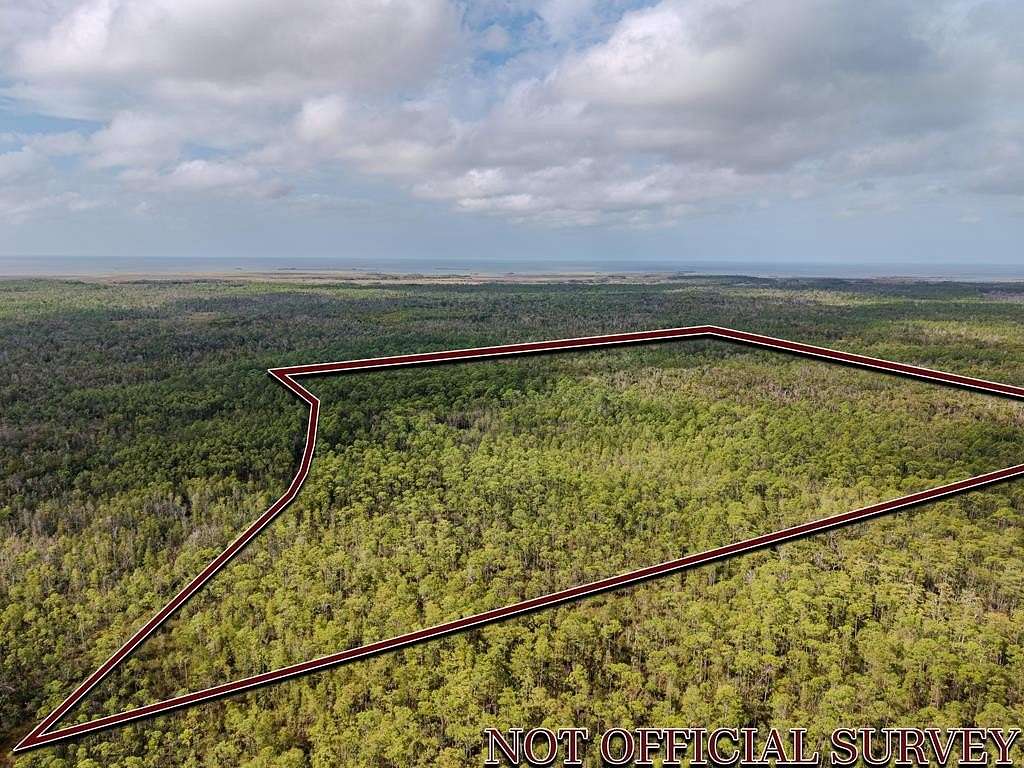 28 Acres of Recreational Land for Sale in Horseshoe Beach, Florida