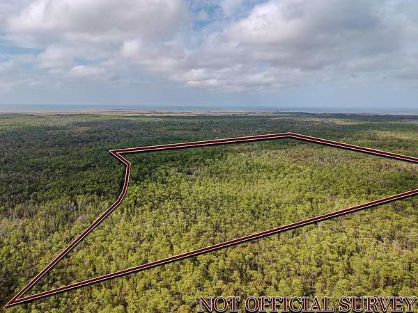 28 Acres of Recreational Land for Sale in Horseshoe Beach, Florida