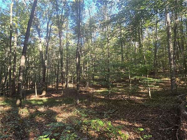 5 Acres of Residential Land for Sale in Jefferson, Georgia