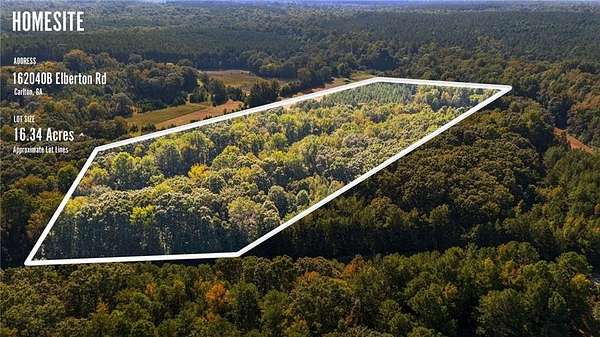16.3 Acres of Recreational Land for Sale in Carlton, Georgia