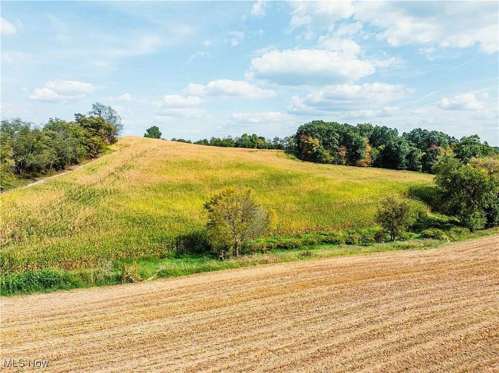 30 Acres of Recreational Land & Farm for Auction in Newcomerstown, Ohio