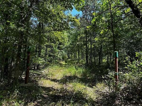 25 Acres of Land for Sale in Salina, Oklahoma