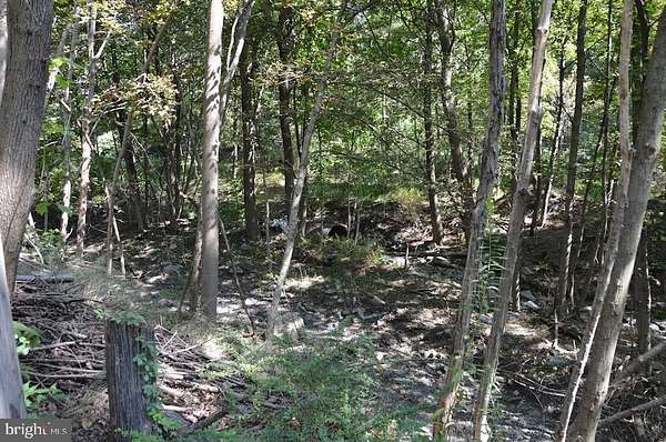 0.2 Acres of Land for Sale in Shenandoah, Pennsylvania