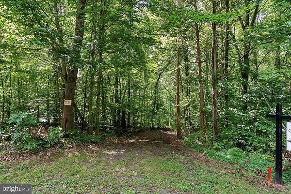 12 Acres of Recreational Land for Sale in Nokesville, Virginia
