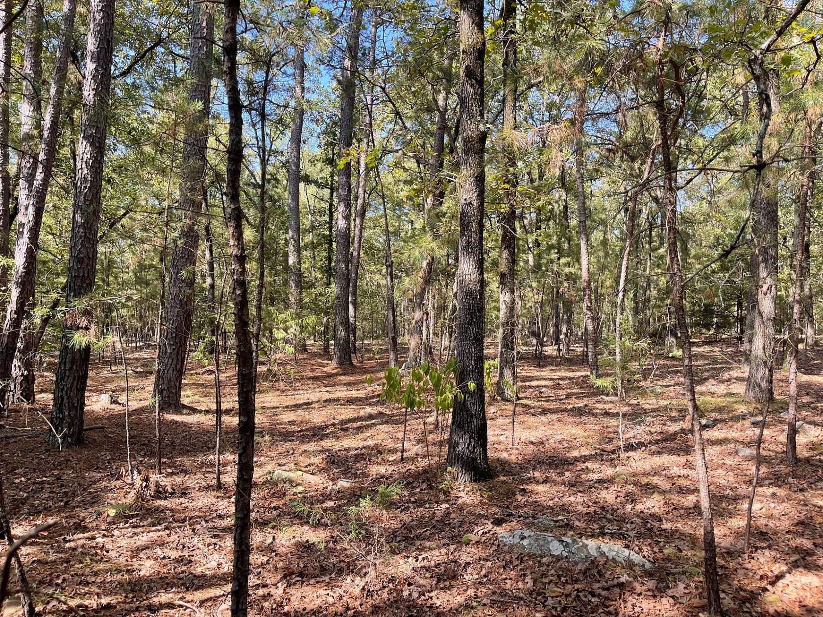 20 Acres of Land for Sale in Antlers, Oklahoma