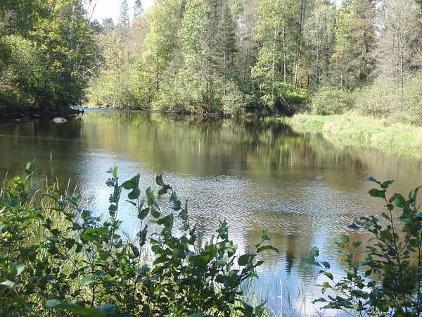 1.9 Acres of Land for Sale in Park Falls, Wisconsin