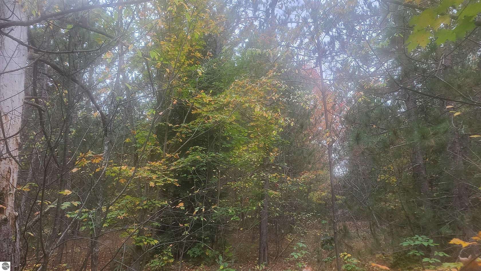 2.5 Acres of Residential Land for Sale in Mancelona, Michigan