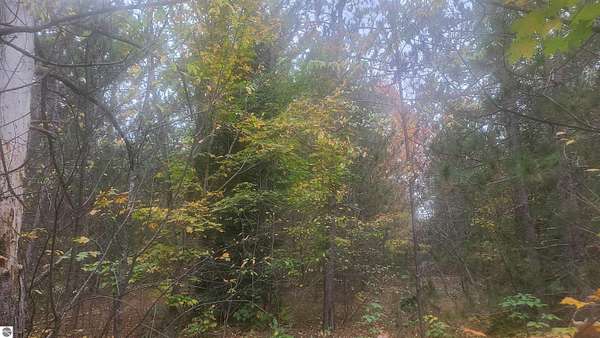 2.5 Acres of Residential Land for Sale in Mancelona, Michigan