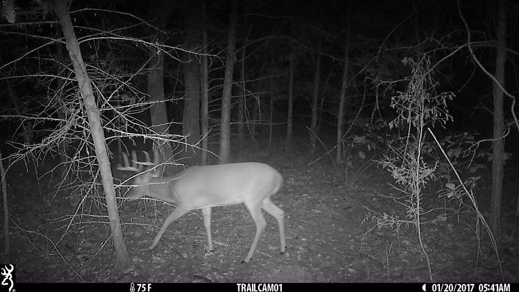 50 Acres of Recreational Land for Sale in De Kalb, Texas