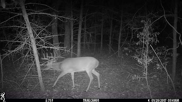 50 Acres of Recreational Land for Sale in De Kalb, Texas