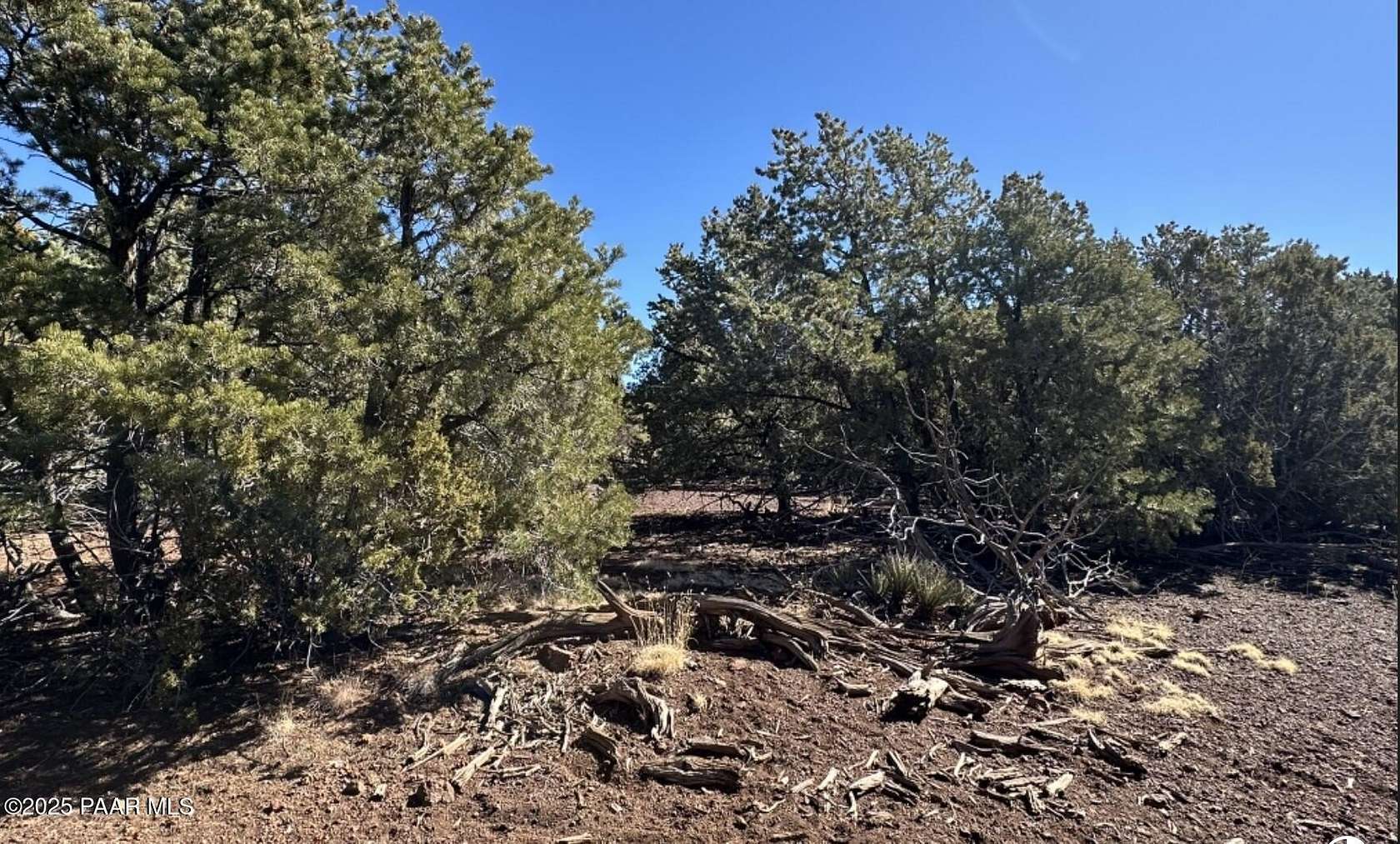 2 Acres of Land for Sale in Williams, Arizona