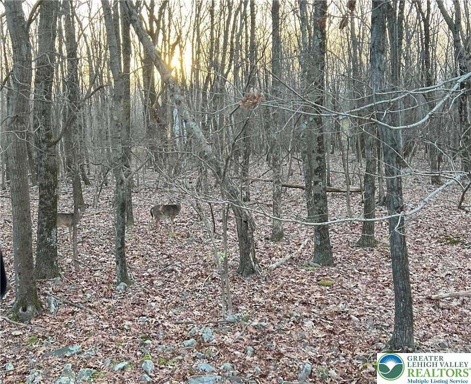 0.38 Acres of Residential Land for Sale in Penn Forest Township, Pennsylvania