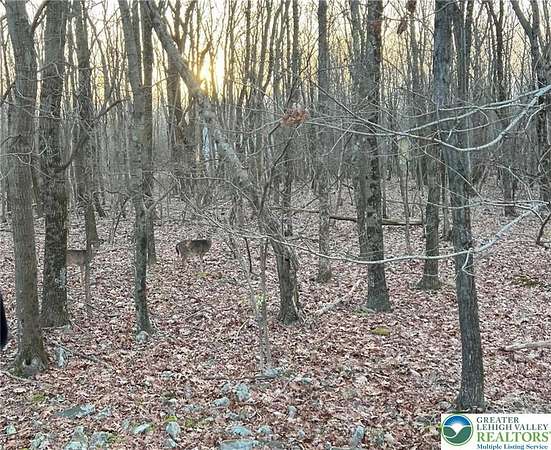 0.38 Acres of Residential Land for Sale in Penn Forest Township, Pennsylvania