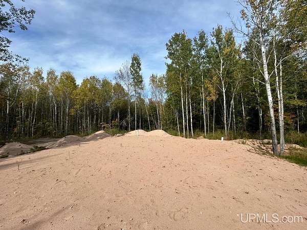 40 Acres of Recreational & Residential Land for Sale in Skandia, Michigan