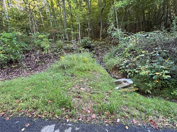 3 Acres of Residential Land for Sale in Fairview, North Carolina