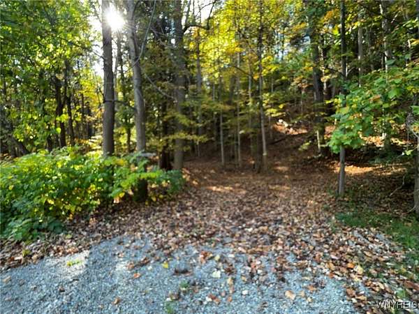 9.6 Acres of Residential Land for Sale in Gowanda, New York