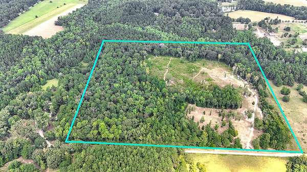 39.6 Acres of Agricultural Land for Sale in DeFuniak Springs, Florida