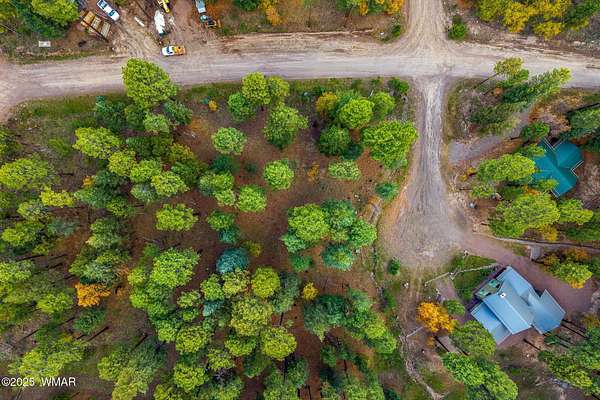 0.49 Acres of Residential Land for Sale in Alpine, Arizona