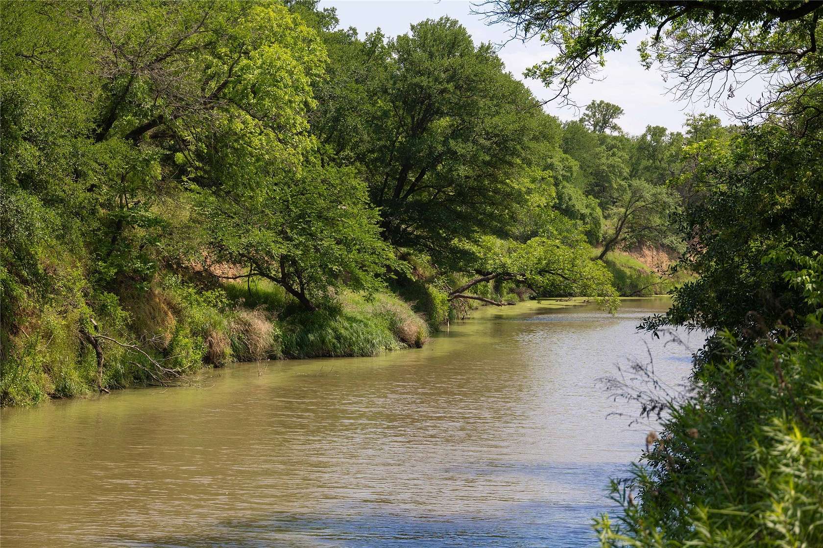 74.2 Acres of Recreational Land for Sale in Early, Texas