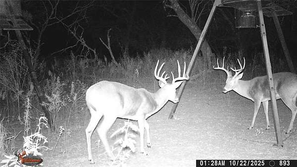 74.2 Acres of Recreational Land & Farm for Sale in Early, Texas