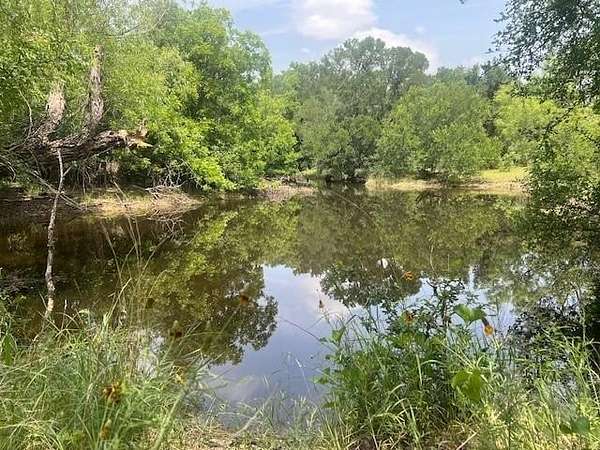 30 Acres of Recreational Land & Farm for Sale in Mullin, Texas