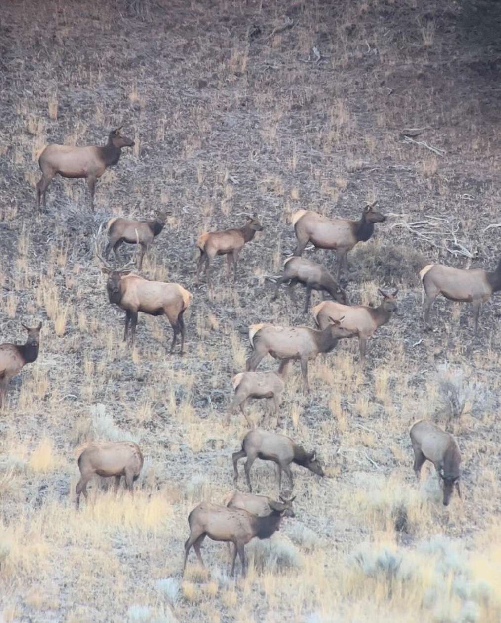 1,920 Acres of Land for Sale in Mount Vernon, Oregon