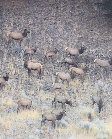 1,920 Acres of Land for Sale in Mount Vernon, Oregon