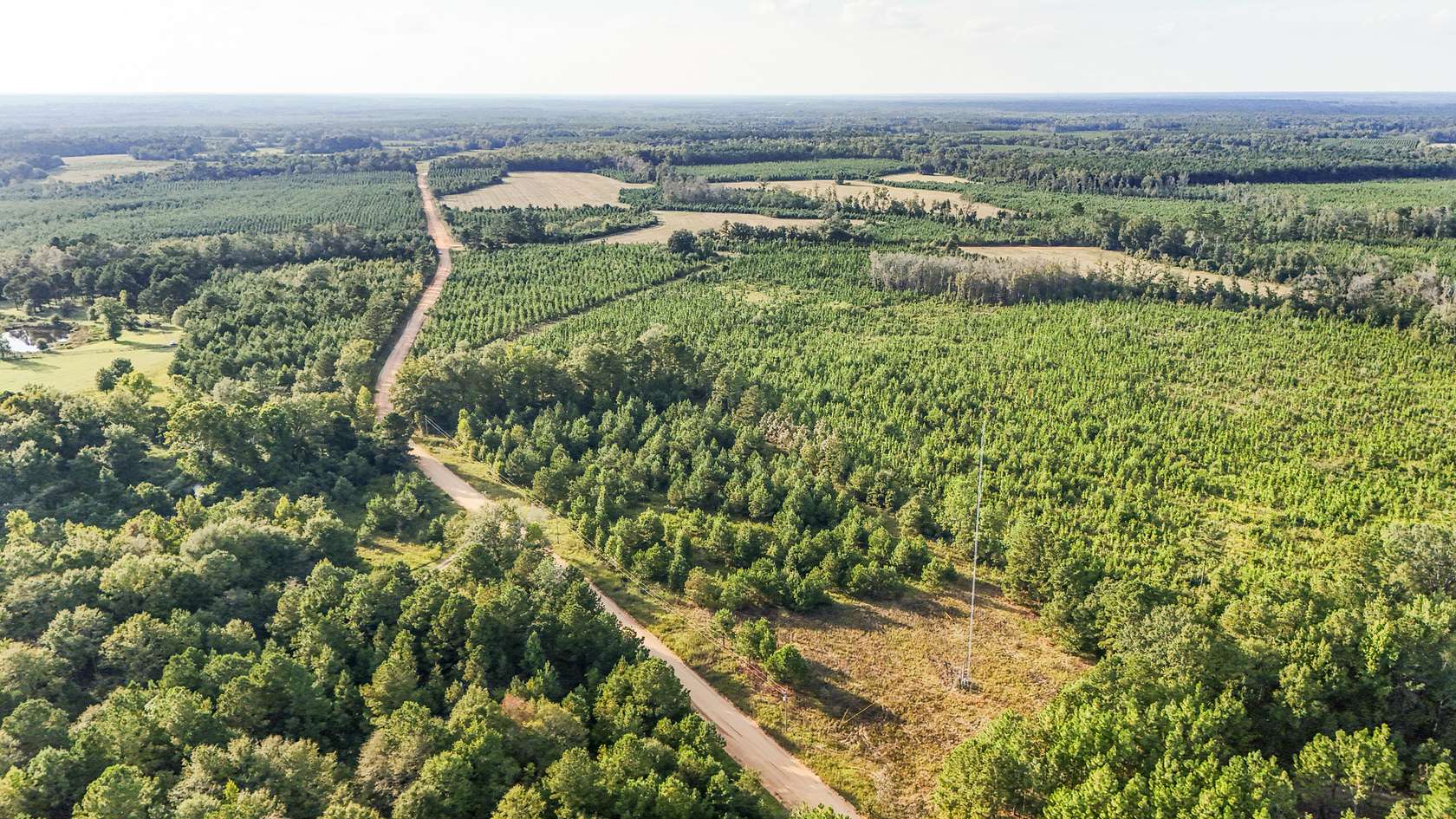 5 Acres of Land for Sale in Sardis, Georgia