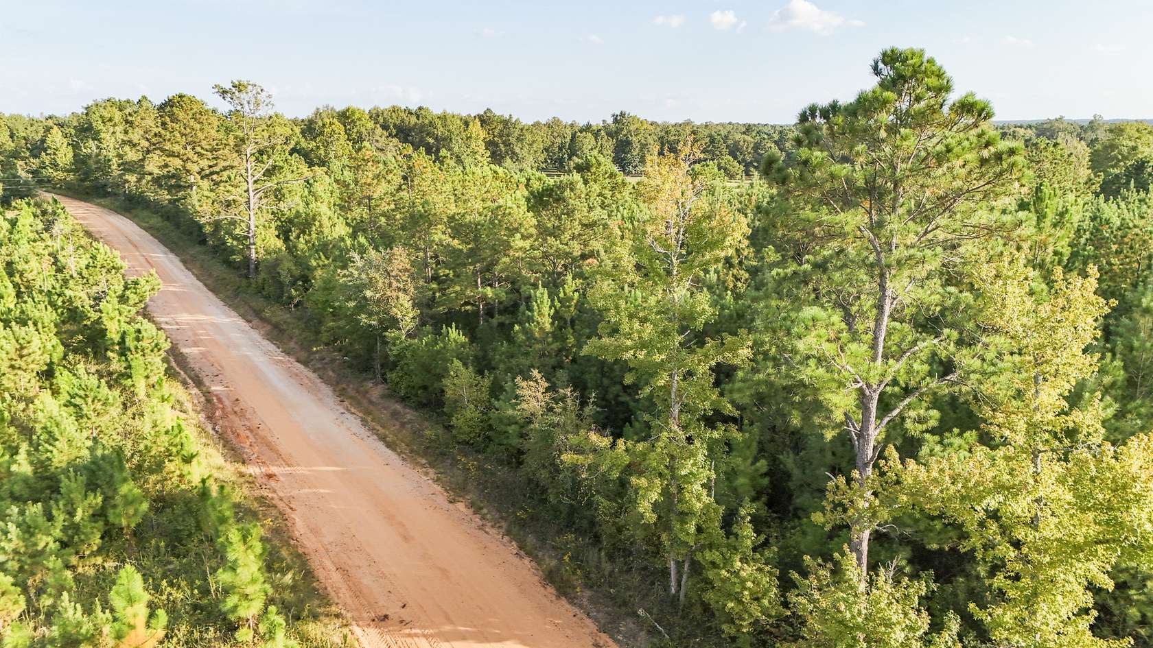 10 Acres of Recreational Land for Sale in Sardis, Georgia