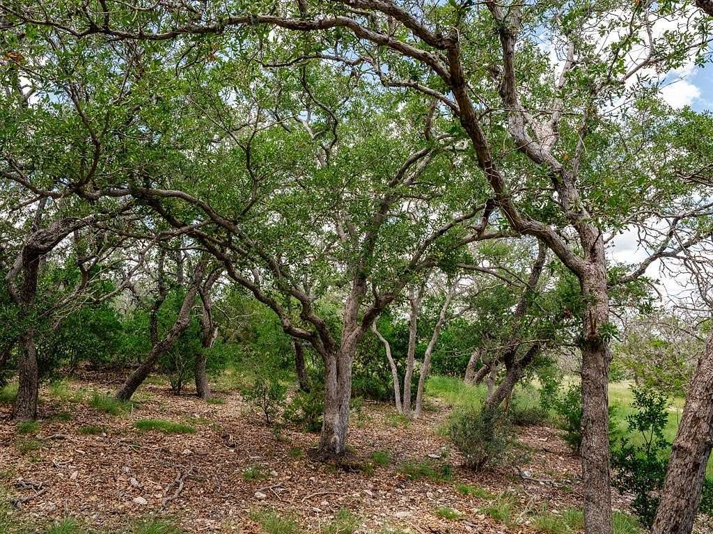 30 Acres of Land for Sale in Doss, Texas