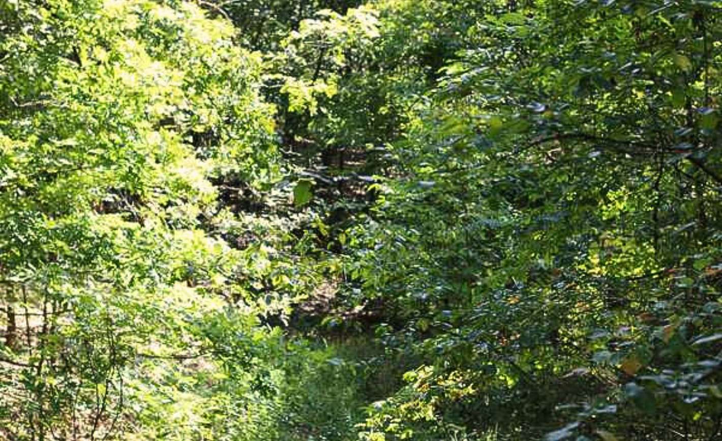 0.12 Acres of Residential Land for Sale in Williford, Arkansas