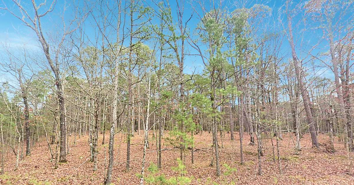 0.25 Acres of Residential Land for Sale in Fairfield Bay, Arkansas