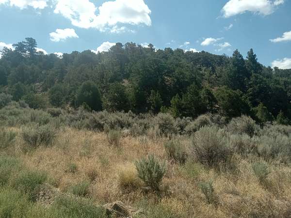 5.22 Acres of Residential Land for Sale in Blanca, Colorado