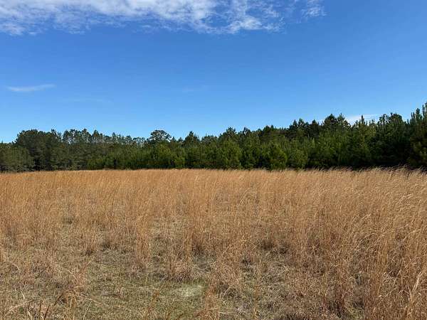 2.29 Acres of Residential Land for Sale in Early Branch, South Carolina