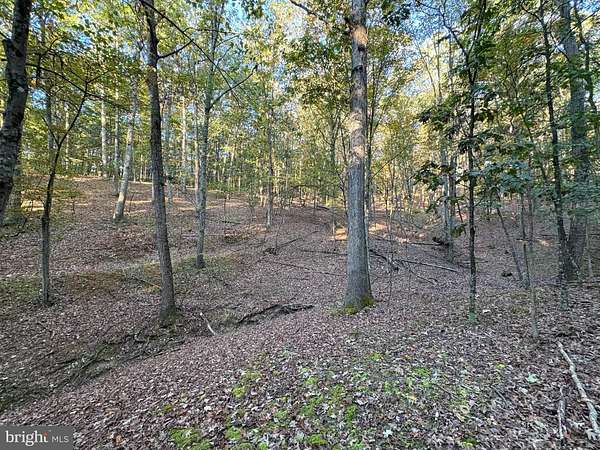 77.3 Acres of Recreational Land for Sale in Romney, West Virginia