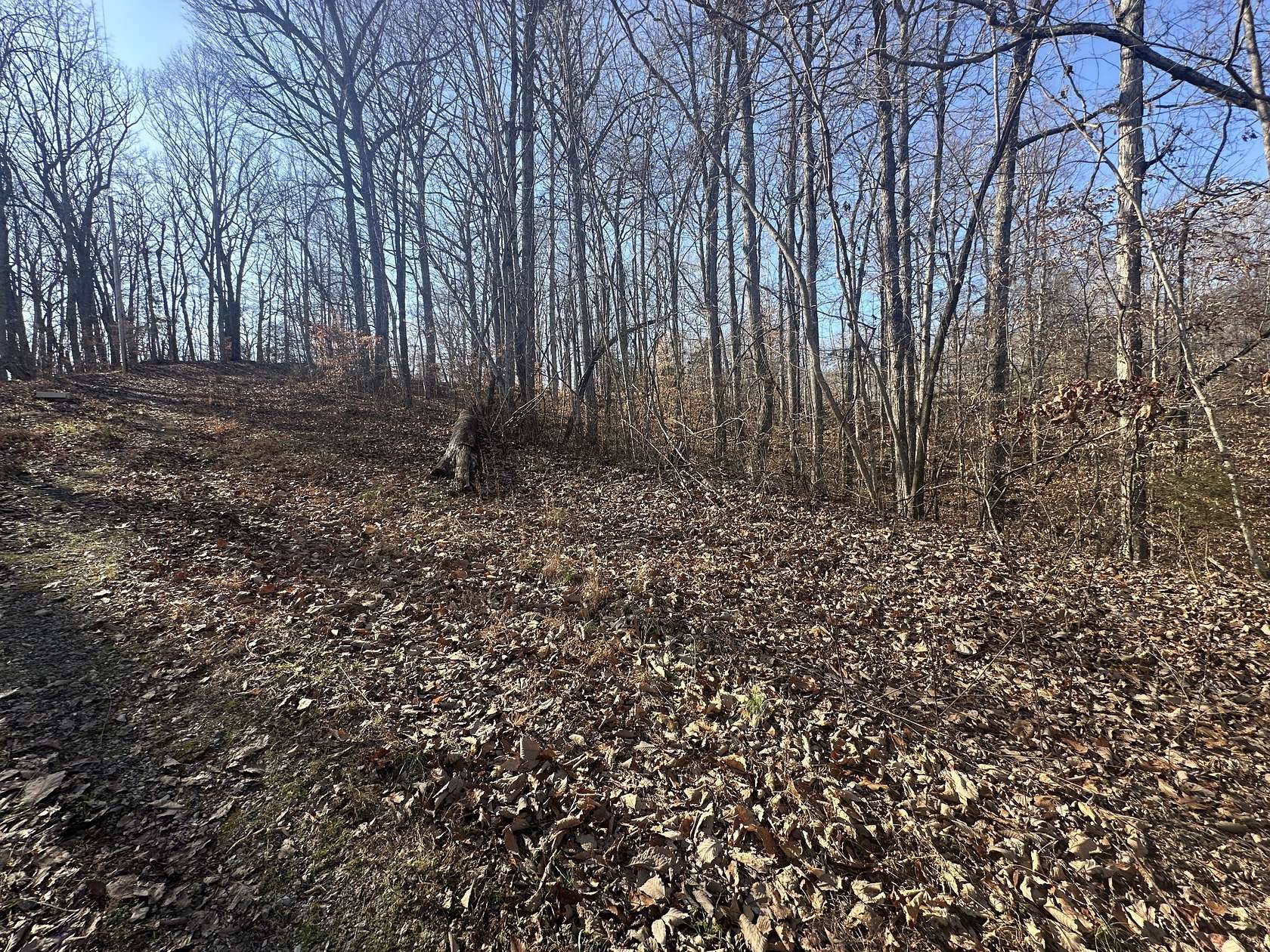 0.43 Acres of Residential Land for Sale in Smithville, Tennessee