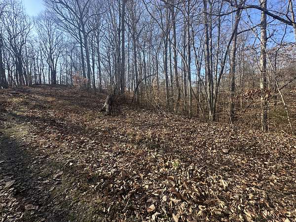 0.43 Acres of Residential Land for Sale in Smithville, Tennessee