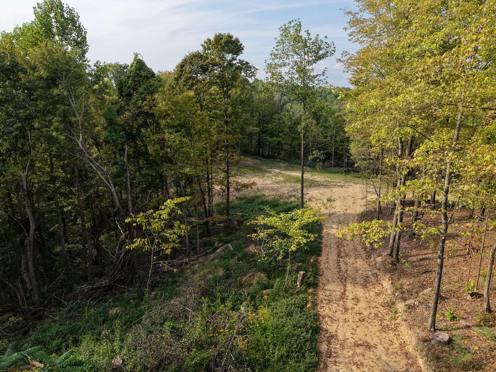 28 Acres of Land for Sale in Bethpage, Tennessee