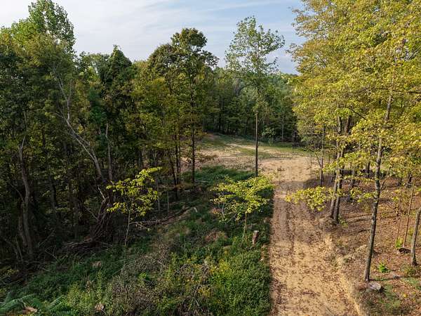 28 Acres of Land for Sale in Bethpage, Tennessee