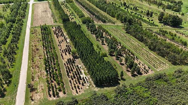 32.1 Acres of Agricultural Land for Auction in McMinnville, Tennessee