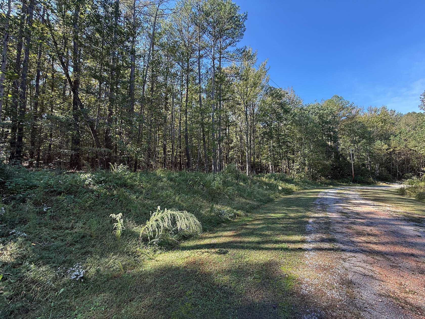 2.9 Acres of Residential Land for Sale in Cedar Grove, Tennessee