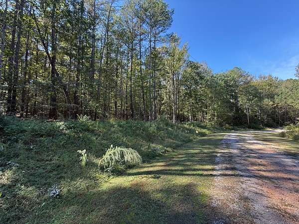 2.9 Acres of Residential Land for Sale in Cedar Grove, Tennessee