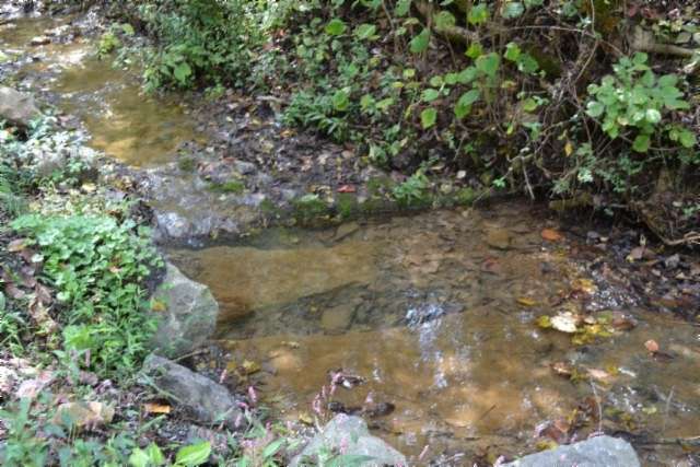 10.3 Acres of Recreational Land for Sale in Gainesboro, Tennessee