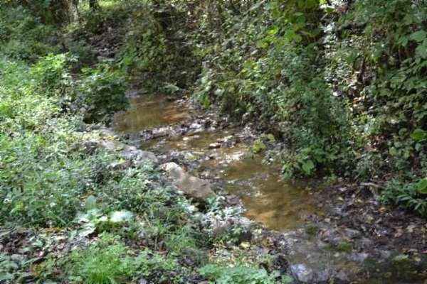 10.3 Acres of Recreational & Residential Land for Sale in Gainesboro, Tennessee