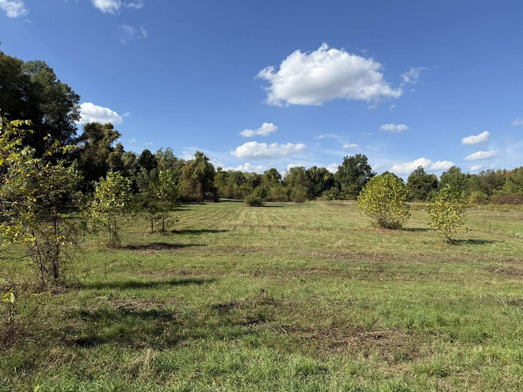 4.59 Acres of Residential Land for Sale in Bangor, Michigan