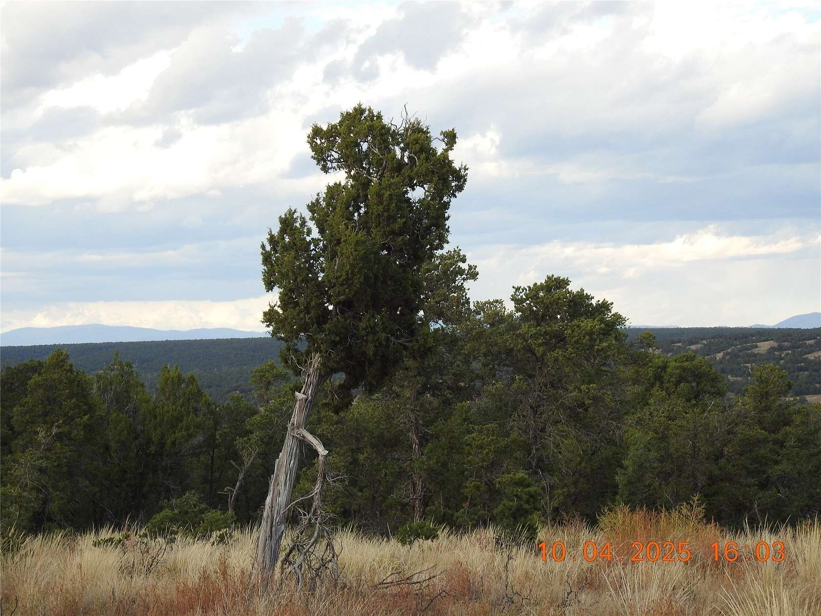 10 Acres of Land for Sale in Rowe, New Mexico
