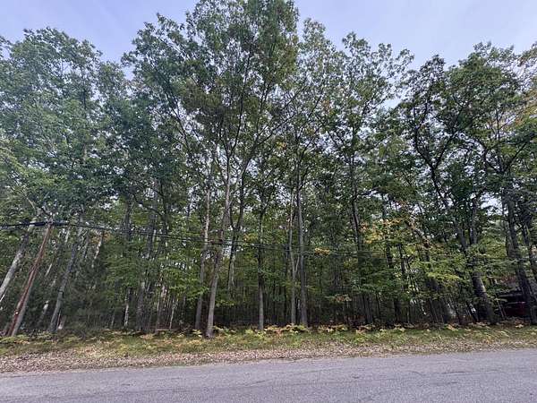 0.51 Acres of Residential Land for Sale in Roscommon, Michigan
